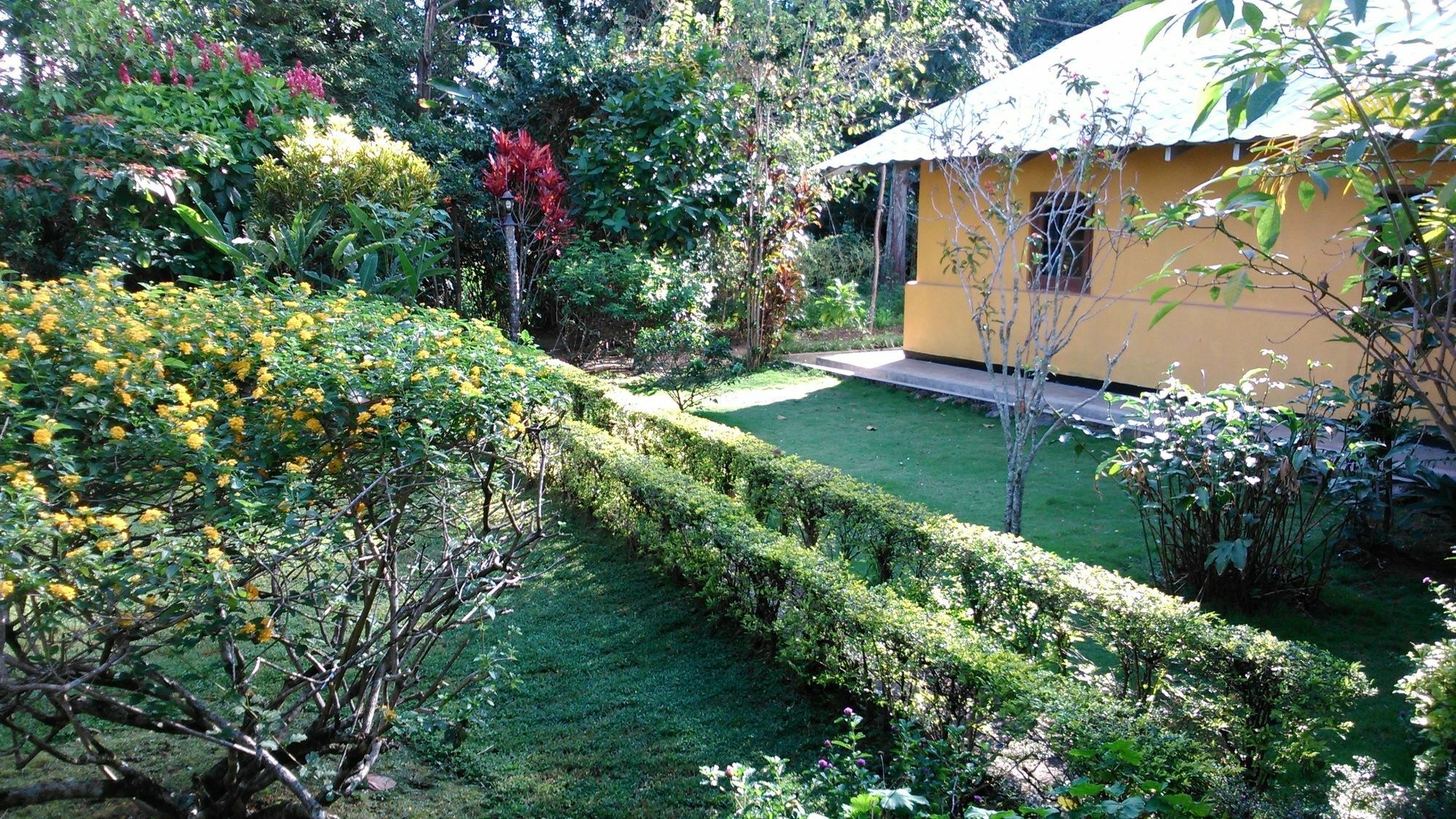 Sunnyside Holiday Bungalow Ella Eksteriør billede